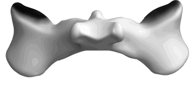 Johnson Spinal Care